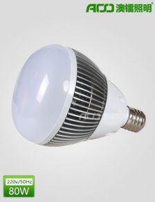 LED球泡燈 80WB